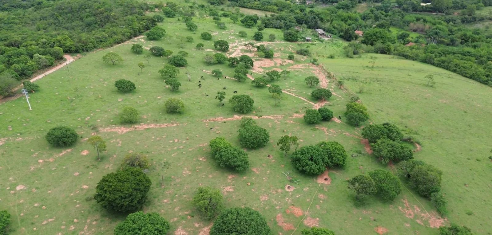 ÁREA EM DIVINÓPOLIS PARA LOTEAMENTO, miniatura 4