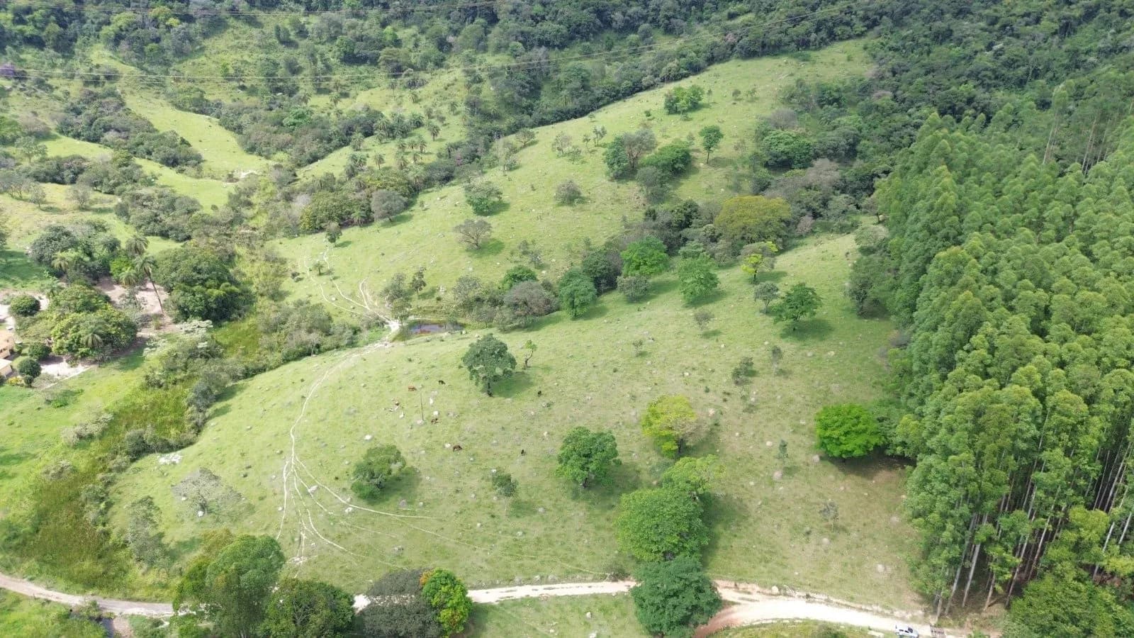 ÁREA COM 14 HECTARES, ÓTIMA LOCALIZAÇÃO EM ITAÚNA, miniatura 5